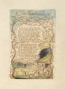 The Lamb