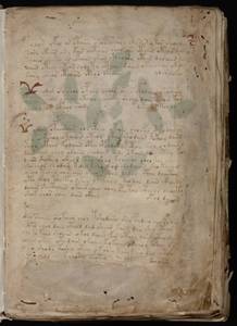 Voynich manuscript page