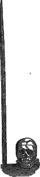 The tamping iron beside the skull, from Harlow's 1868 paper